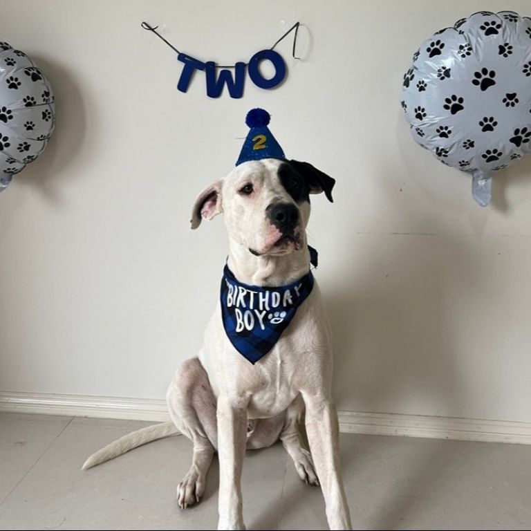 Mitch is two!